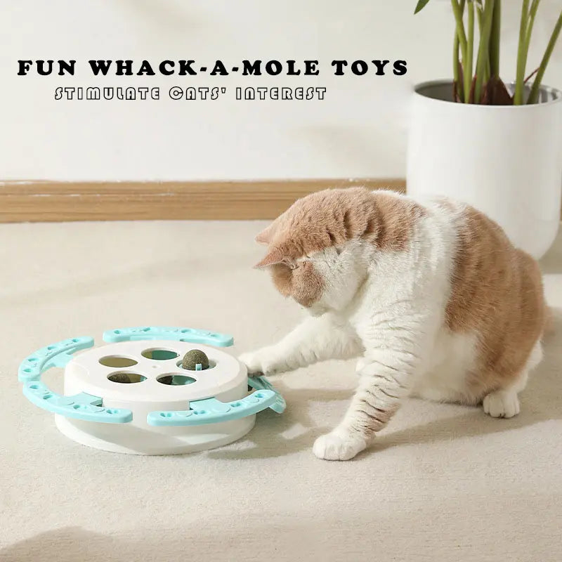 Cat Toy Edible Catnip Ball Safe and Healthy Catnip Cat Family Chasing Game Toys, Cleaning Teeth, Protecting The Stomach